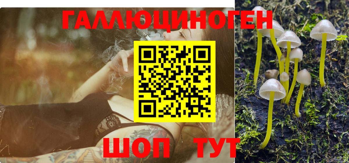 Псилоцибиновые грибы Psilocybine cubensis Дзержинск