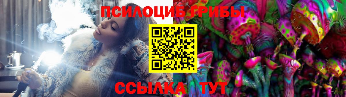 Дзержинск  Галлюциногенные грибы Cubensis  Вход с VPN 